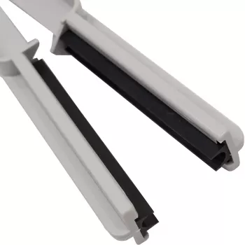 Paterson tergipellicola (PTP211)