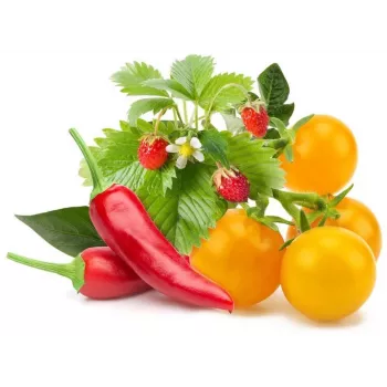 Click & Grow capsule di piante mix frutta e verdura per Smart Garden, confezione da 9 (PPMFVX9)