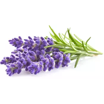 Click & Grow Smart Garden ricarica lavanda, 3 capsule per piante (SGR30X3)