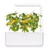Click and Grow Smart Garden Refill confezione da 3 capsule per piante di mini pomodori