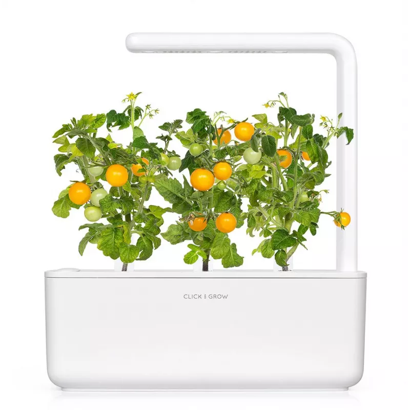 Click and Grow Smart Garden Refill confezione da 3 capsule per piante di mini pomodori