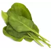 Click & Grow Smart Garden ricarica di bietola verde, 3 capsule per piante (SGR64X3)