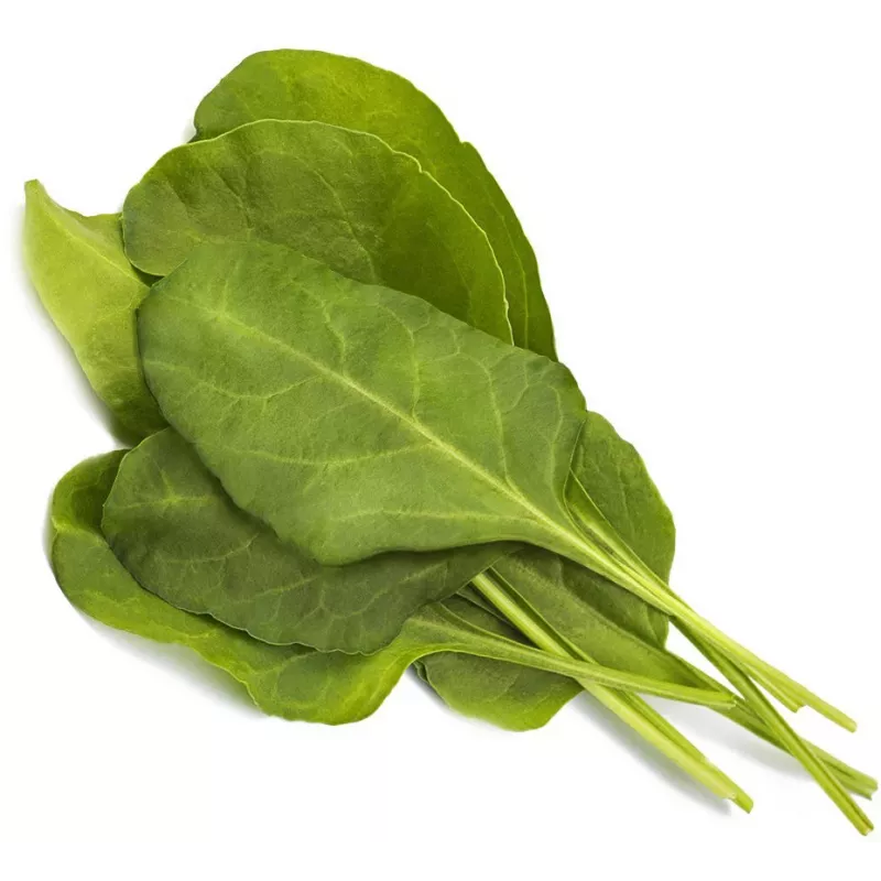 Click & Grow Smart Garden ricarica di bietola verde, 3 capsule per piante (SGR64X3)