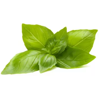 Click & Grow capsule piante basilico limone per Smart Garden, confezione da 3 (SGR76X3)