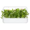 Click & Grow capsule piante basilico limone per Smart Garden, confezione da 3 (SGR76X3)