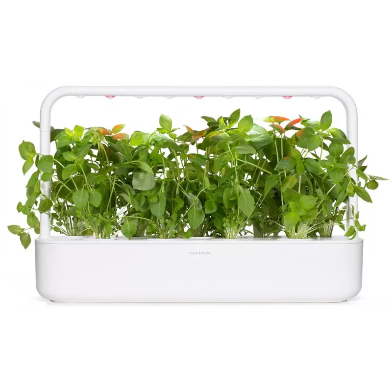 Click & Grow capsule piante basilico limone per Smart Garden, confezione da 3 (SGR76X3)