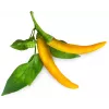 Click & Grow SGR60X3 capsule piante peperoncino (confezione da 3)