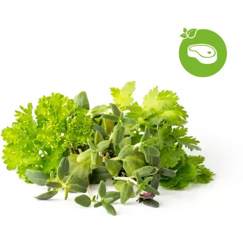 Click & Grow capsule piante mix erbe per bistecca per Smart Garden, confezione da 9 (PPMSSX9)