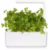 Click & Grow SGR68x3 capsule per piante di prezzemolo (confezione da 3)