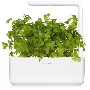 Click & Grow SGR68x3 capsule per piante di prezzemolo (confezione da 3)