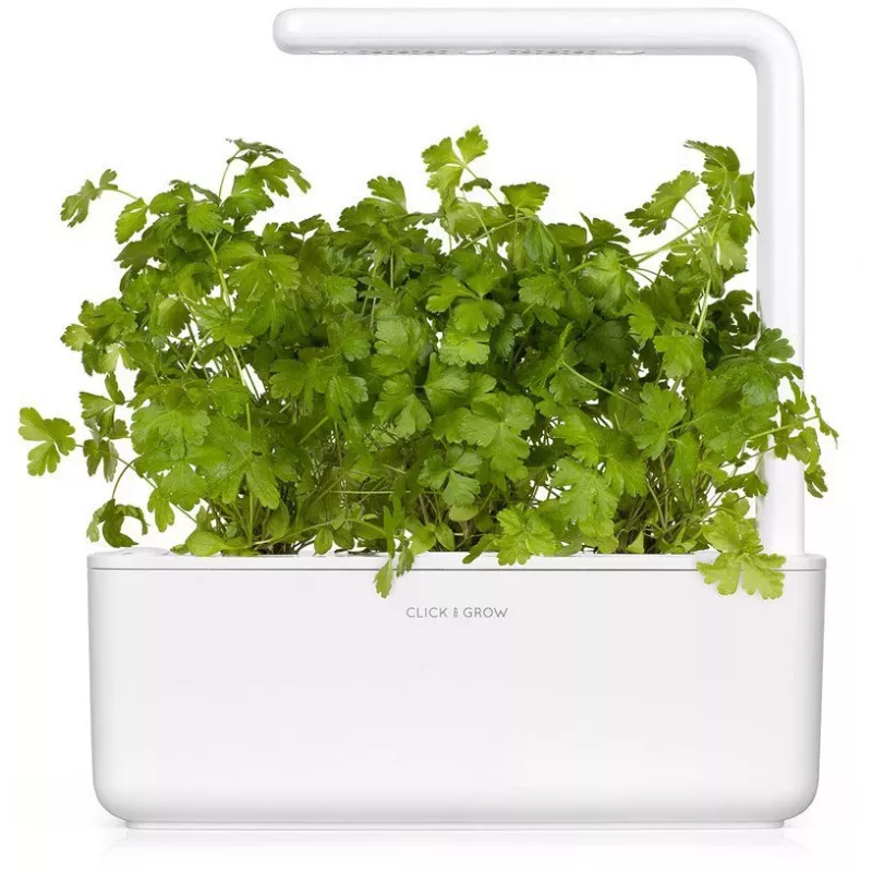 Click & Grow SGR68x3 capsule per piante di prezzemolo (confezione da 3)