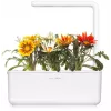 Click & Grow capsule per piante di gazania per Smart Garden, confezione da 3 (SGR92X3)
