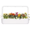 Click & Grow capsule per piante di gazania per Smart Garden, confezione da 3 (SGR92X3)