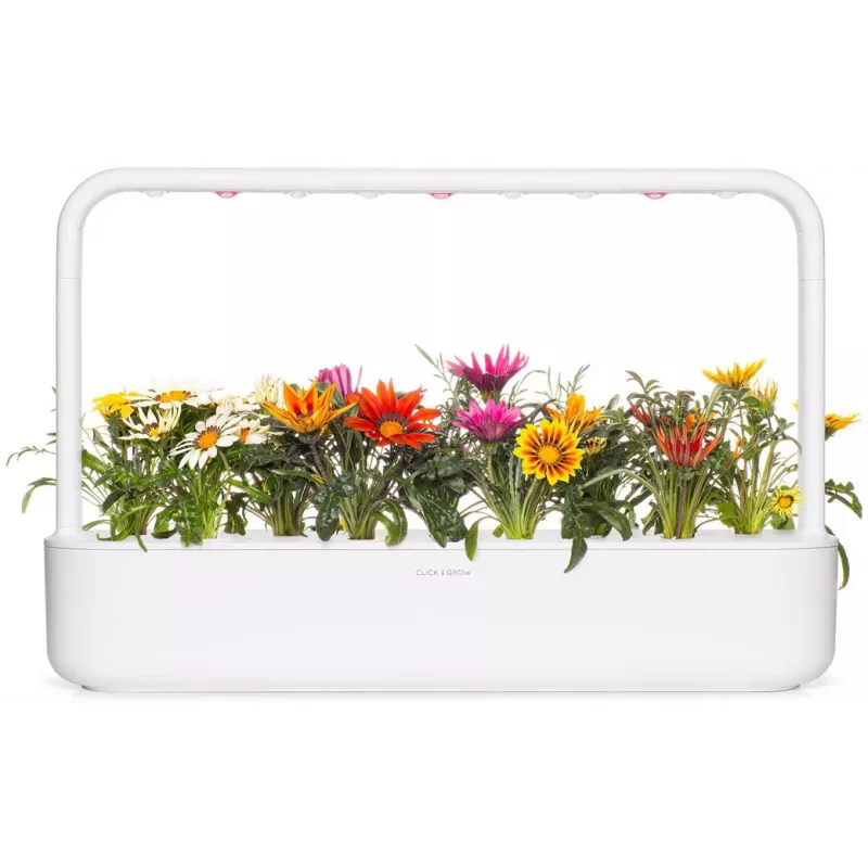 Click & Grow capsule per piante di gazania per Smart Garden, confezione da 3 (SGR92X3)
