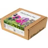 Click & Grow capsule per piante Vibrant Flower Mix per Smart Garden, confezione da 9 (PPMVBX9)