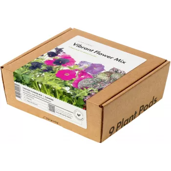 Click & Grow capsule per piante Vibrant Flower Mix per Smart Garden, confezione da 9 (PPMVBX9)