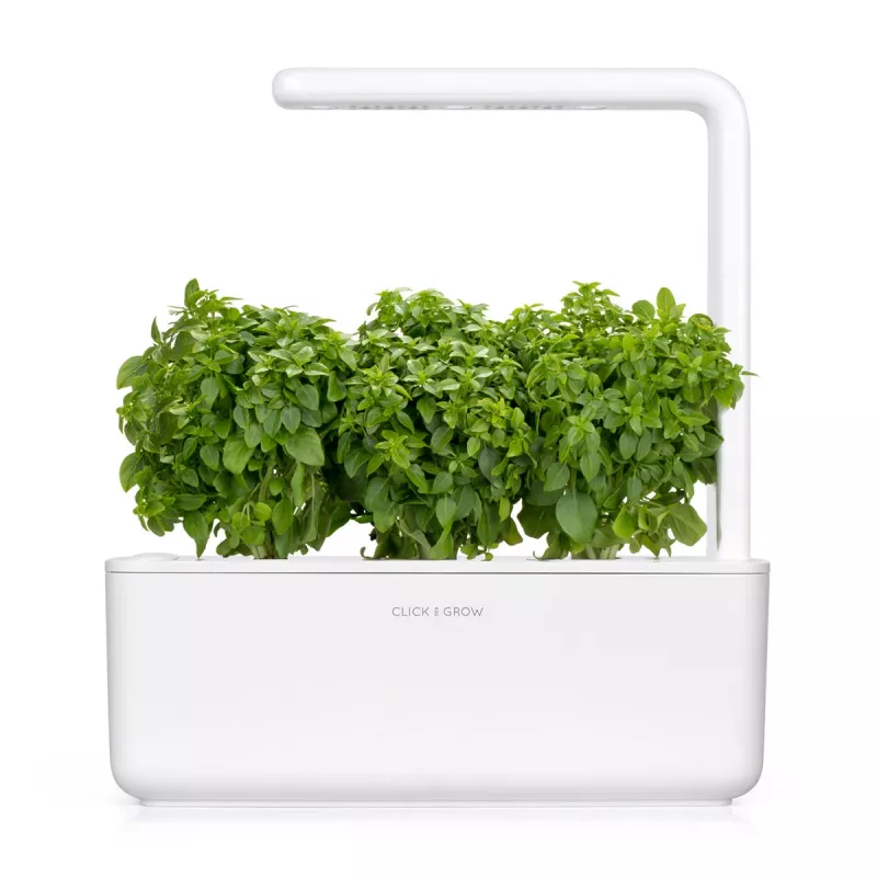 Click & Grow Smart Garden ricarica di basilico nano, 3 capsule per piante (SGR21X3)