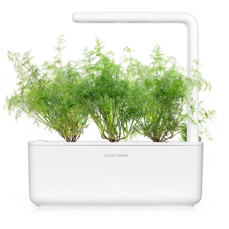 Click & Grow SGR49x3 ricarica capsule per piante di aneto confezione da 3