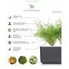 Click & Grow SGR49x3 ricarica capsule per piante di aneto confezione da 3