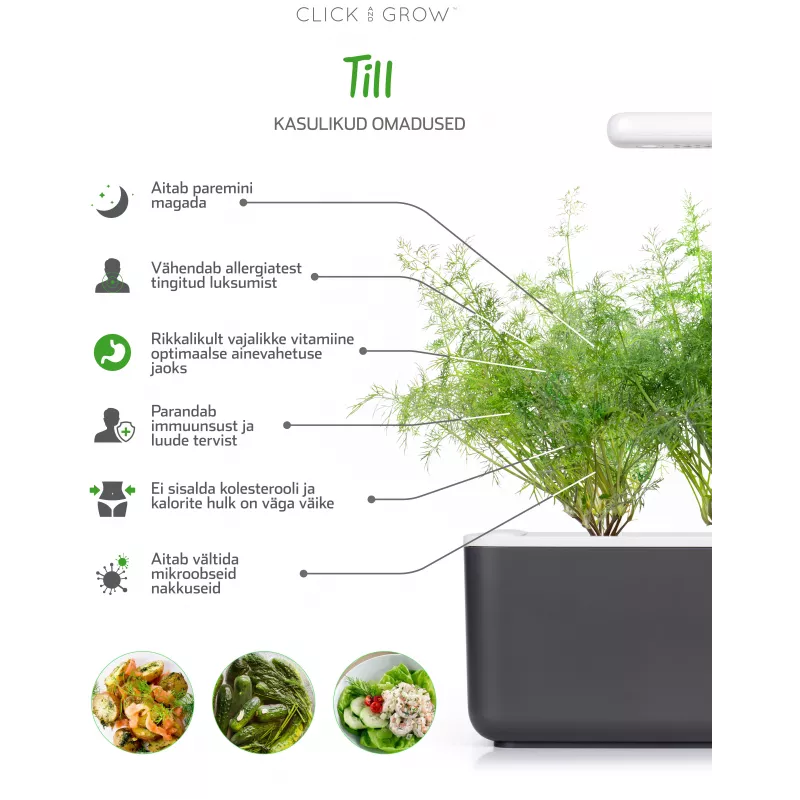 Click & Grow SGR49x3 ricarica capsule per piante di aneto confezione da 3
