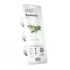 Click & Grow Smart Garden ricarica di rosmarino, 3 capsule per piante (SGR51X3)