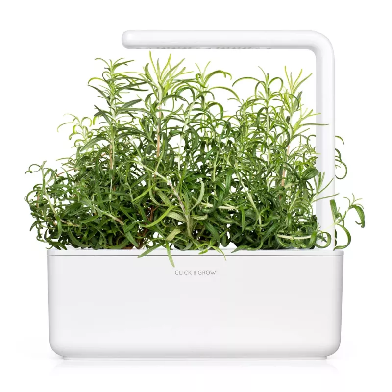 Click & Grow Smart Garden ricarica di rosmarino, 3 capsule per piante (SGR51X3)