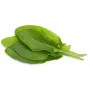 Click & Grow capsule per piante di acetosa per Smart Garden, confezione da 3 (SGR55X3)
