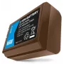Newell batteria USB-C per Sony NP-FW50 (NL3461)