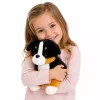 LEAN TOYS Peluche cane morbido da coccolare Bernese Sennenhund 30x30 cm