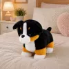 LEAN TOYS Peluche cane morbido da coccolare Bernese Sennenhund 30x30 cm