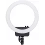 Nanlite Halo16 luce anulare LED (12-2024-JSG)