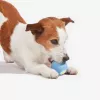 Cheerble Wicked Ball SE giocattolo interattivo per cani piccoli, blu