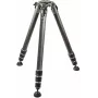 Gitzo GT4543LS treppiede Systematic Serie 4 in fibra di carbonio