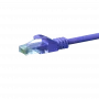 Cavo patch Ethernet DSIT CAT5e U/UTP, 0,25 m, viola, 100% rame, RJ45, Gigabit