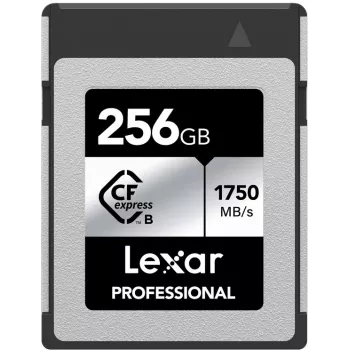 Lexar Professional CFexpress Type B scheda di memoria 256GB, Silver Series (LCXEXSL256G-RNENG)