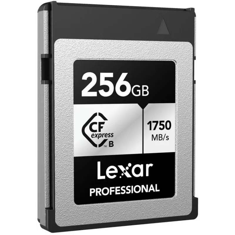 Lexar Professional CFexpress Type B scheda di memoria 256GB, Silver Series (LCXEXSL256G-RNENG)