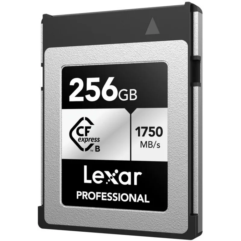 Lexar Professional CFexpress Type B scheda di memoria 256GB, Silver Series (LCXEXSL256G-RNENG)