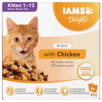 EUKANUBA IAMS DELIGHTS gattini in gelatina cibo umido per gatti 8x85g