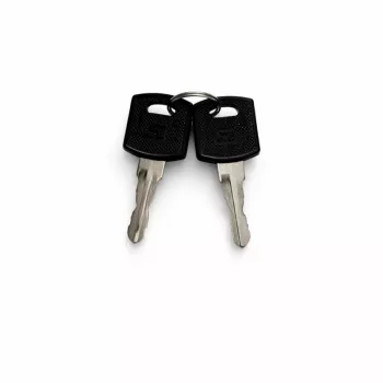 DSIT DS-SIDELOCK-KEY chiave di ricambio per pannelli laterali di armadi rack (confezione da 2)