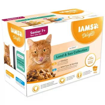 IAMS Delights Senior Land & Sea Collection in salsa – cibo umido per gatti – 12x85g