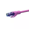 DSIT CAT6a U/UTP cavo patch di rete rosa 30m, 100% rame, 10Gbps, RJ45