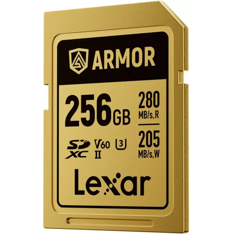 Lexar Professional ARMOR GOLD SDXC UHS-II scheda di memoria, 256 GB, V60 (LSDAMGL256G-RNNNG)