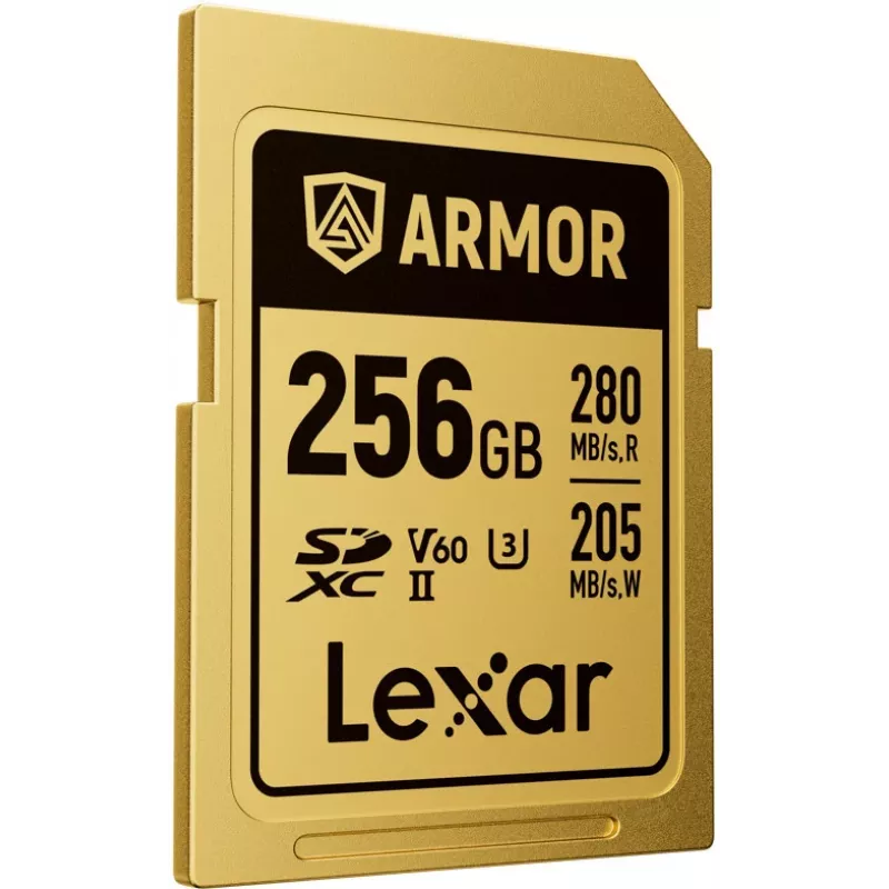 Lexar Professional ARMOR GOLD SDXC UHS-II scheda di memoria, 256 GB, V60 (LSDAMGL256G-RNNNG)