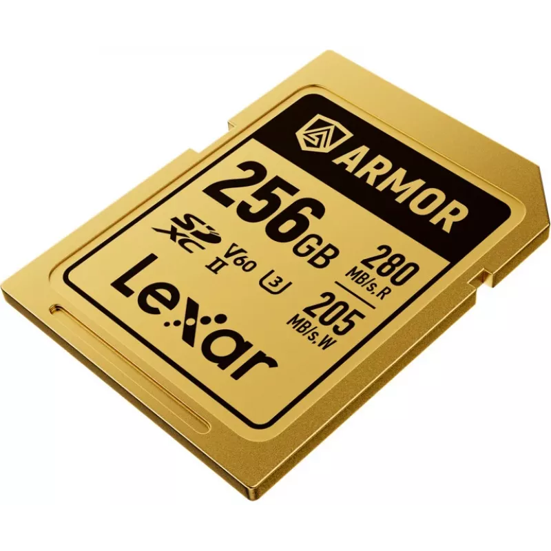 Lexar Professional ARMOR GOLD SDXC UHS-II scheda di memoria, 256 GB, V60 (LSDAMGL256G-RNNNG)