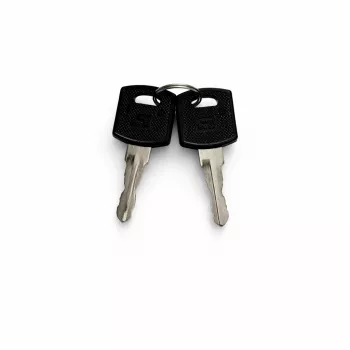 DSIT set chiavi di ricambio per porte armadi esterni (9U-22U) - 2 chiavi, DS-KEY-OUT-M