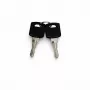 DSIT set chiavi di ricambio per porte armadi esterni (9U-22U) - 2 chiavi, DS-KEY-OUT-M