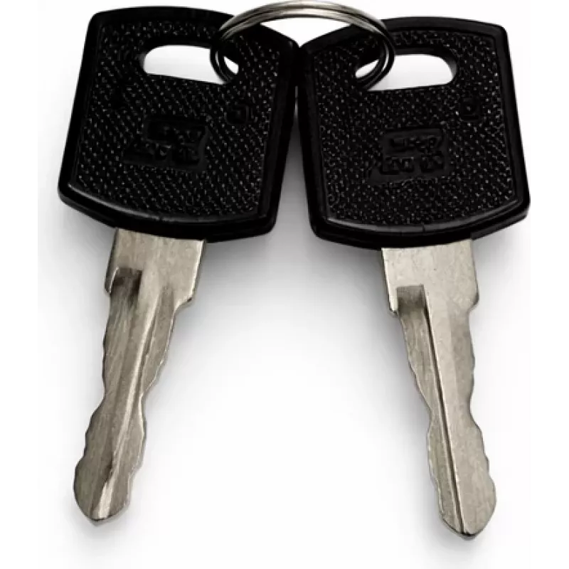 DSIT set chiavi di ricambio per porte armadi esterni (9U-22U) - 2 chiavi, DS-KEY-OUT-M