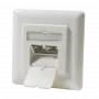 DSIT DC-Wall-In-STP6A-I Presa RJ45 2 porte da incasso Cat.6a schermata, avorio