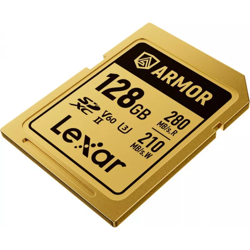 Lexar Professional ARMOR GOLD 128GB SDXC UHS-II V60 scheda di memoria (LSDAMGL128G-RNNNG)