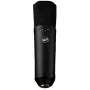 Warm Audio WA-87 R2 BL Microfono a condensatore a diaframma largo - nichel